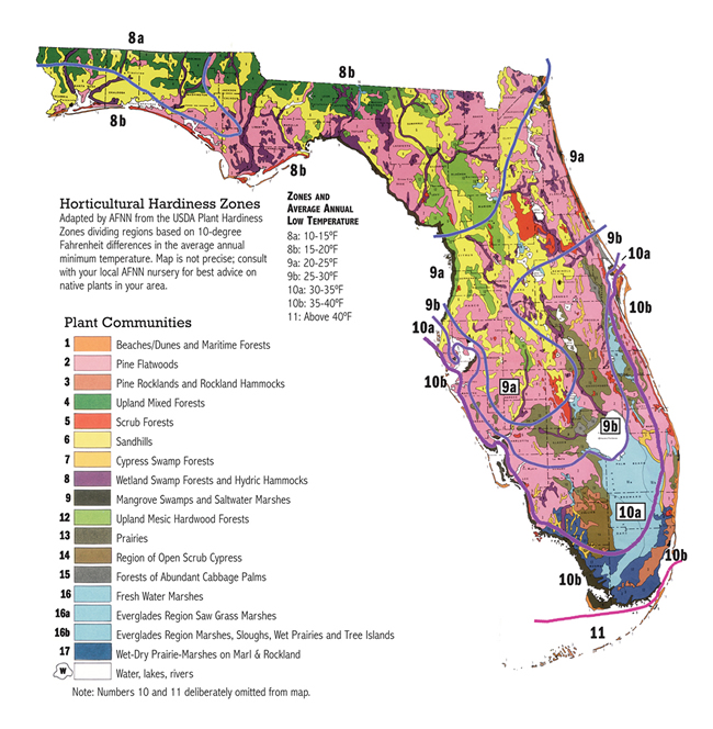 Florida Vegetation Map 2018